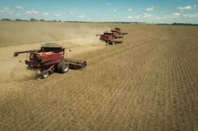 Goiás registra superávit de US$ 826 milhões na balança comercial de julho