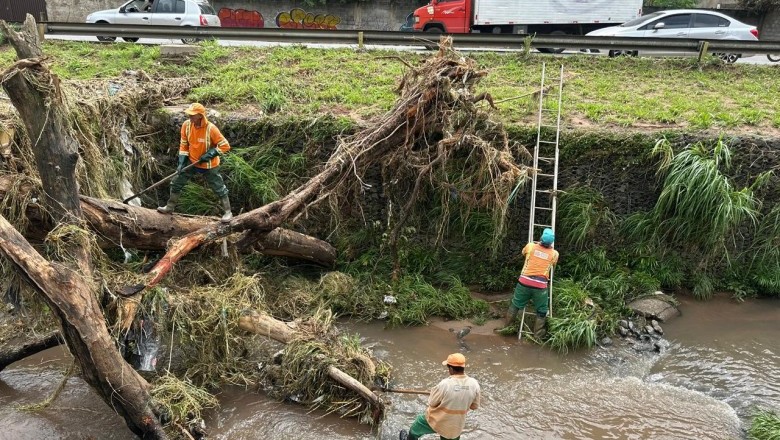 Prefeitura remove 60 toneladas de resíduos em Goiânia