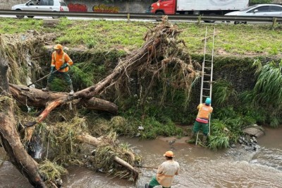 Prefeitura remove 60 toneladas de resíduos em Goiânia