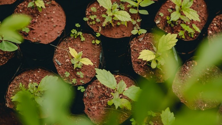 Anápolis promove nova edição do Projeto Troca Sustentável