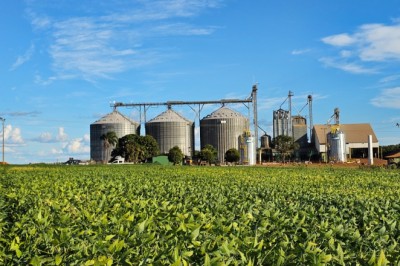 Soja em Goiás: produtividade avança 15,4% e produção supera 20 milhões de toneladas