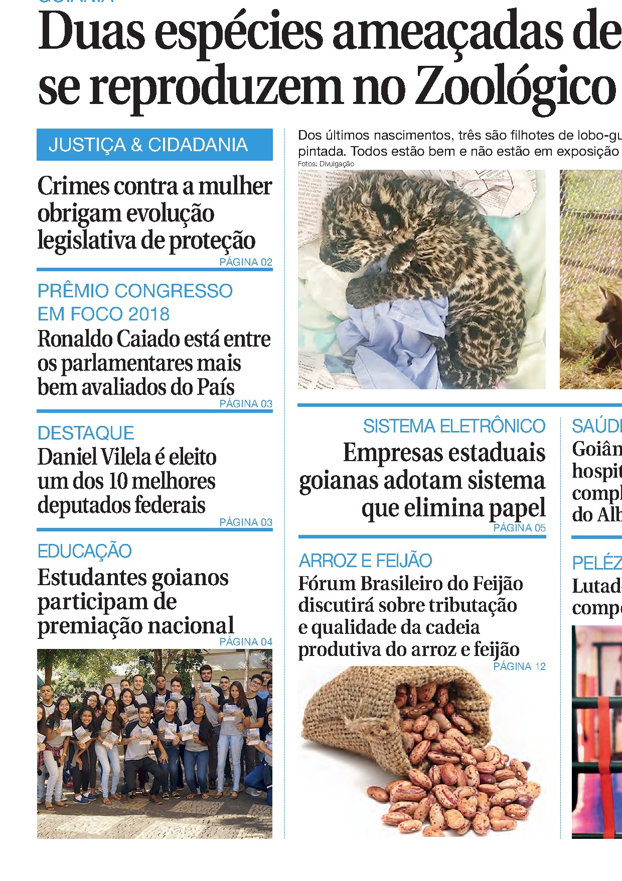 Edição 3613