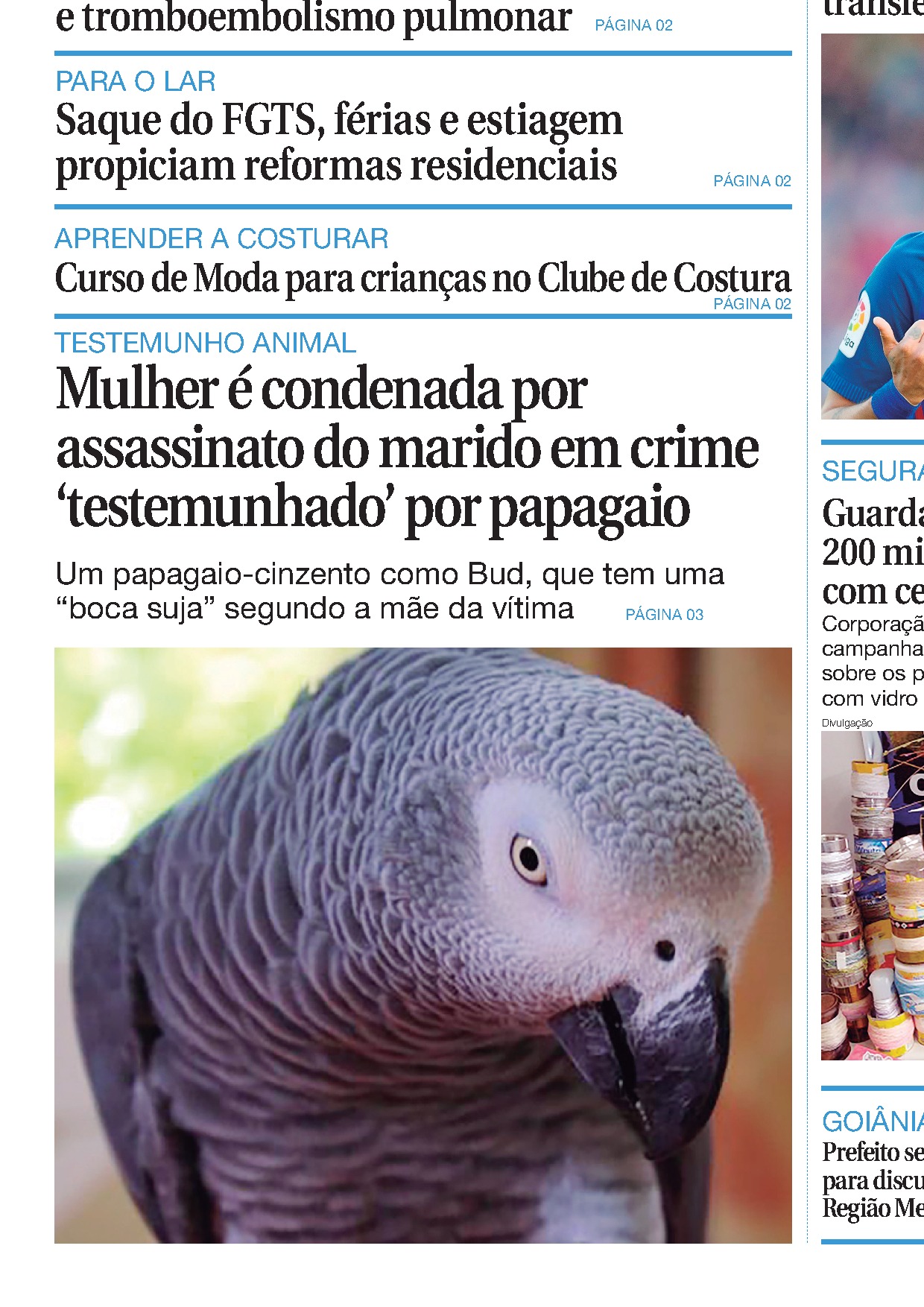Edição 3224