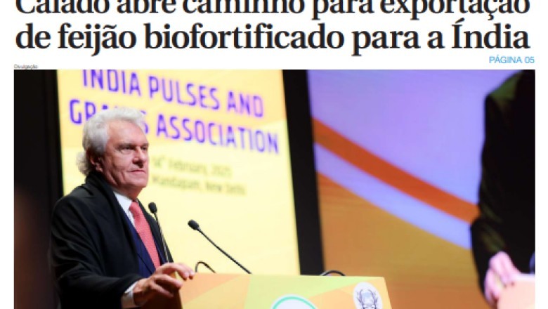 Edição 5989