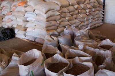 Prazo prorrogado: Agricultores têm até fim de março para enviar propostas para o PAA