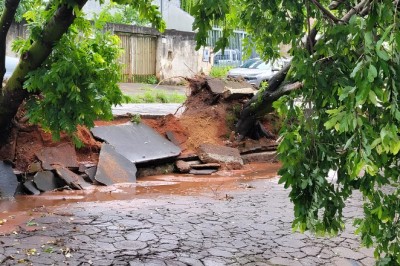 Uruaçu autoriza remoção planejada de árvores em áreas públicas
