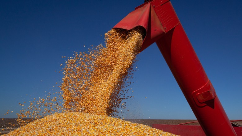 Goiás mantém 3ª posição no ranking nacional de produção de grãos