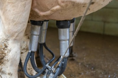 Proposta reserva compras públicas de leite a produtores goianos