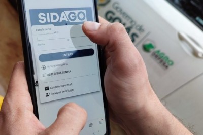Goiás abre 2ª etapa de Declaração de Rebanho neste sábado