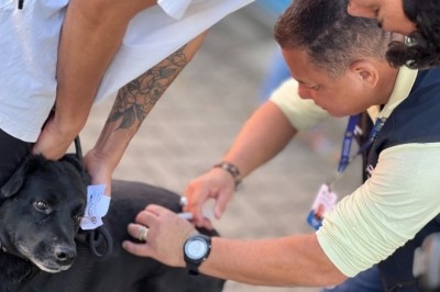 Vacinação antirrábica passa a ser oferecida de forma permanente em 10 pontos de Goiânia