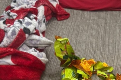 PCGO prende motorista de aplicativo por desviar ovos de Páscoa destinados à doação em Aparecida de Goiânia – Policia Civil