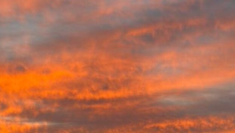 Operação Rapina: PCGO prende gerente de fazenda por planejar roubo de caminhões praticado em Caiapônia