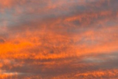 Operação Rapina: PCGO prende gerente de fazenda por planejar roubo de caminhões praticado em Caiapônia