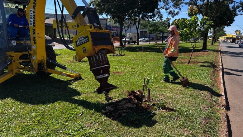 Comurg inicia a retirada de raízes em calçadas e espaços públicos