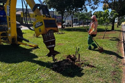 Comurg inicia a retirada de raízes em calçadas e espaços públicos