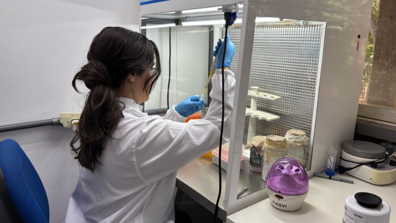 Fapeg prorroga inscrições para bolsas de mestrado no exterior em universidades entre as 100 melhores do mundo