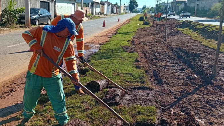 Goiânia recebe 25 km de novo gramado e 80 mudas de árvores; serviços avançam em vias e praças