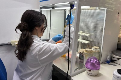 Inscrições abertas: Fapeg financia missões de pesquisa no exterior para pós-graduandos de Goiás com até R$ 20 mil por projeto