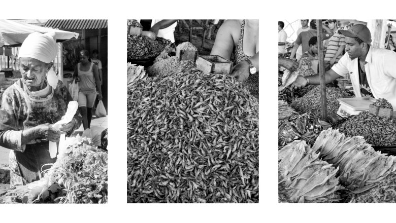 Duas exposições simultâneas abrem no Centro Cultural Octo Marques nesta quinta (14/5), com entrada gratuita