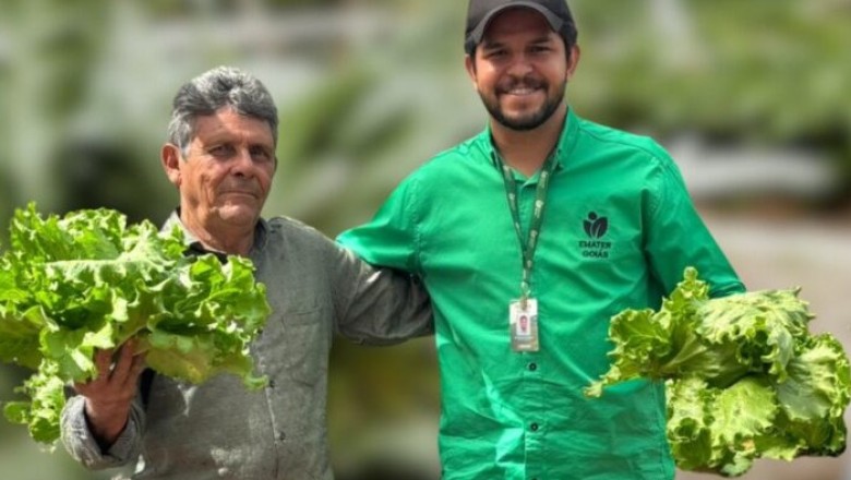 III Semana do CAF em Goiás, de 25 a 29 de maio: mutirão da Emater amplia acesso a mais de 20 políticas públicas; veja documentos e quem pode se cadastrar