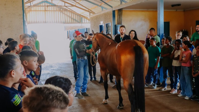 Haras vira sala de aula: jovens dos programas Guardiões Ambientais e Guarda Mirim vivenciam manejo e cuidados com animais