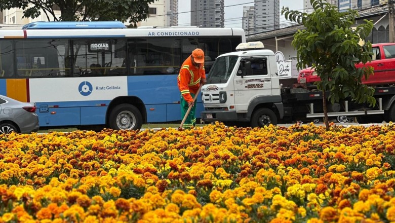 Flores, grama e novos canteiros: Comurg atua em 15 pontos de Goiânia nesta terça-feira (26/5)