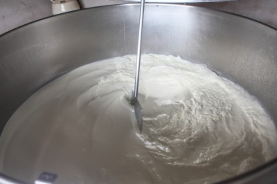 Lácteos em Goiás: índice recua 0,58% em maio enquanto creme a granel e leite condensado lideram altas