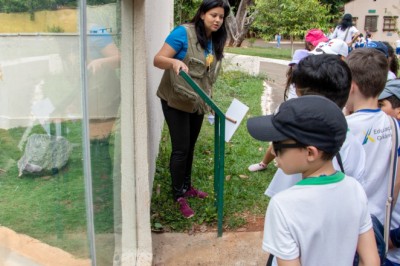 Trilhas, oficinas e teatro: mais de 120 estudantes terão imersão ambiental no Parque Areião nesta sexta (19/6)