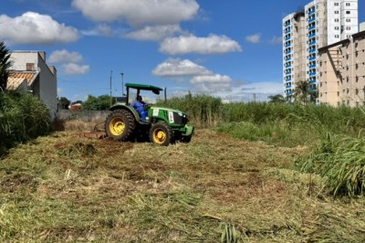 Em 100 dias, Prefeitura de Goiânia limpa 514 lotes privados após autuações; veja bairros atendidos