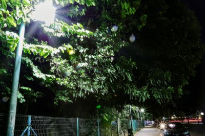 Com LED e atendimento em 5 dias, Brilha Goiânia resolve 93% dos chamados; saiba onde há mais pedidos