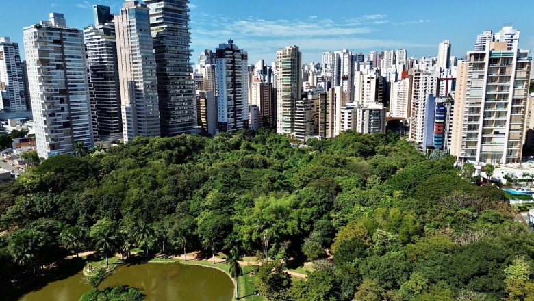 Goiânia recebe prêmio internacional por reduzir emissões e vai implementar 100 jardins de chuva; jovens terão US$ 50 mil para projetos