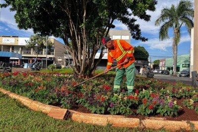 Projeto Florescer vai plantar 69.912 mudas e revitalizar 33.473 m² em Goiânia; confira os locais