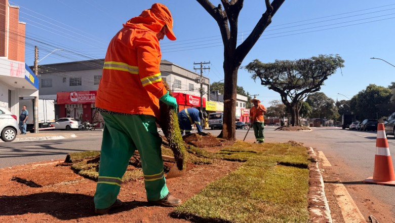 Comurg conclui revitalização com flamboyants e 1.570 m² de grama na Região Leste de Goiânia; veja os locais