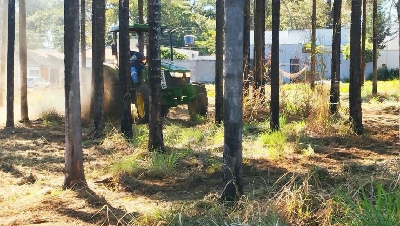 16 tratores em ação: roçagem mecanizada avança em cinco residenciais de Goiânia até 7 de agosto