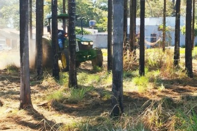 16 tratores em ação: roçagem mecanizada avança em cinco residenciais de Goiânia até 7 de agosto