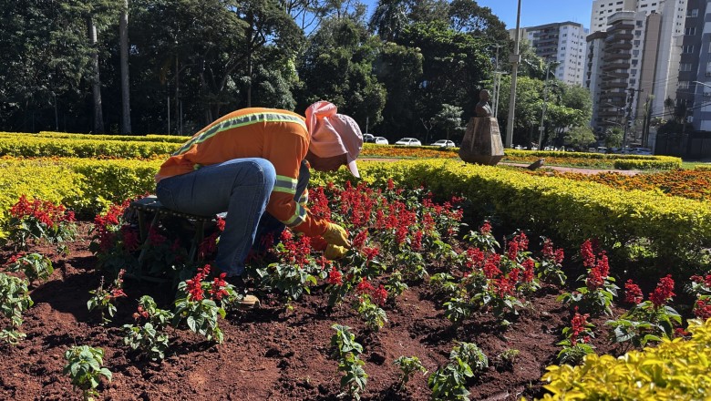 Até 10 mil m² por dia: Comurg reforça mutirão manual para proteger canteiros floridos de Goiânia