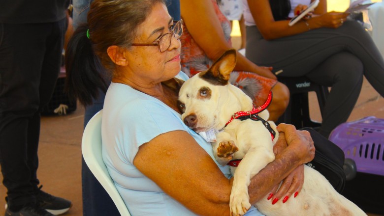Goiânia realiza mutirão na Região Leste com castração gratuita, adoção de animais e recolhimento de pneus; veja datas e locais