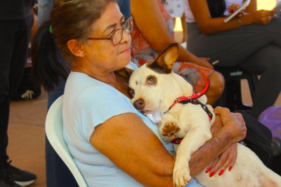 Goiânia realiza mutirão na Região Leste com castração gratuita, adoção de animais e recolhimento de pneus; veja datas e locais