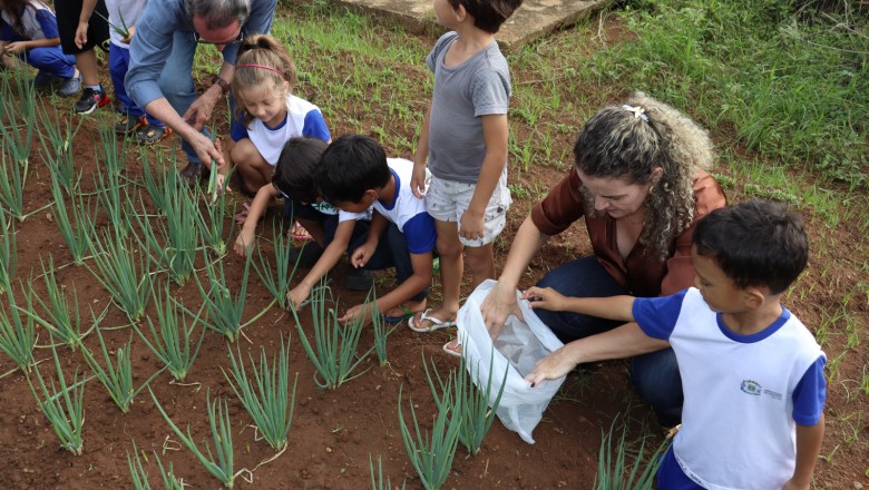Goiânia aposta em pátios como salas verdes: curso de hortas escolares capacita educadores e se expande até o fim do ano