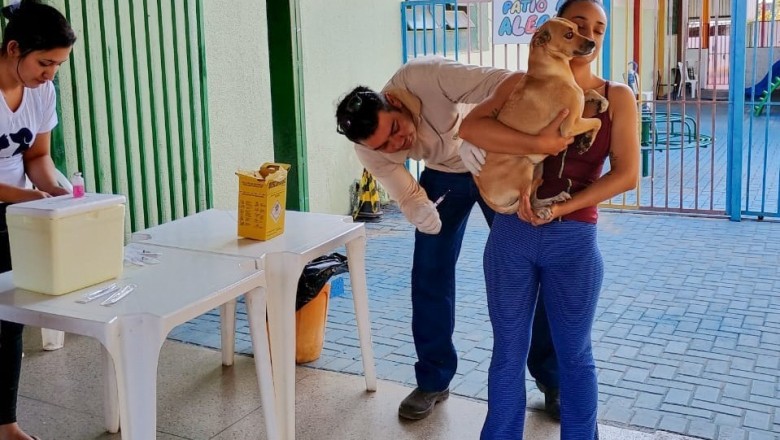 Vacinação antirrábica em Goiânia tem 307 pontos em dois sábados; veja onde vacinar neste 12/9