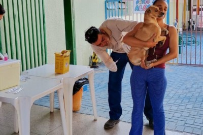 Vacinação antirrábica em Goiânia tem 307 pontos em dois sábados; veja onde vacinar neste 12/9