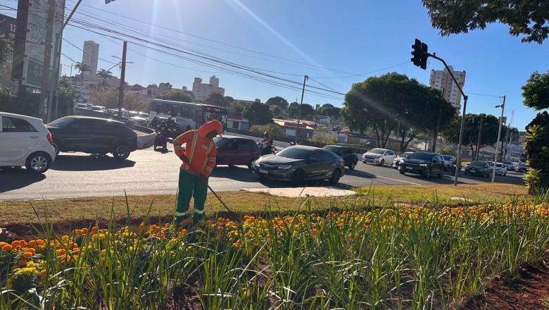 Goiânia inicia preparação para plantar 40 mil mudas em praças, rotatórias e canteiros