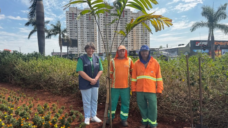 Goiânia inicia plantio de 40 mil mudas ornamentais em praças, rotatórias e canteiros