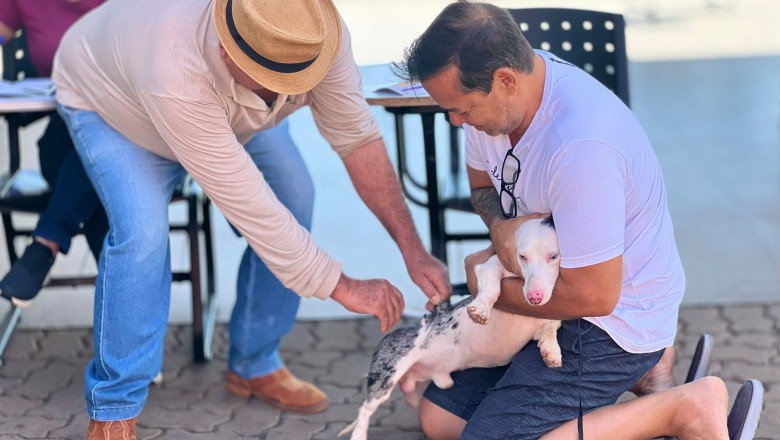 Goiânia amplia vacinação contra a raiva e oferece doses gratuitas para cães e gatos em 141 pontos neste sábado