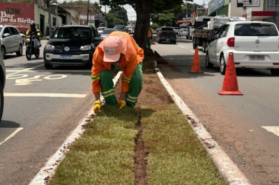 Goiânia planta área de grama equivalente a mais de 11 gramados do Serra Dourada em 2026