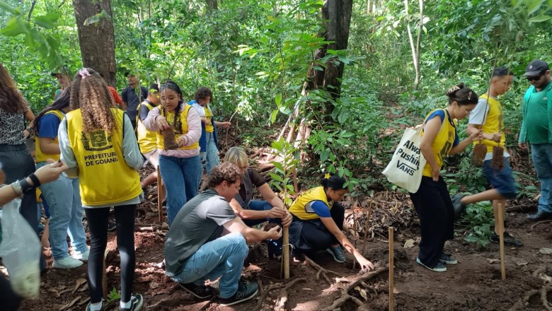 Goiânia prepara plantio de 25 mil árvores durante o período de chuvas
