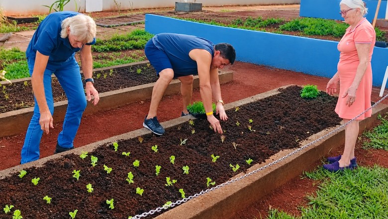 Horta terapêutica transforma rotina de pacientes em caminho para autonomia durante reabilitação em Goiás