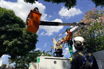 Comurg treina 33 servidores para reduzir riscos em podas e trabalhos em altura em Goiânia