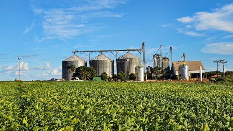 Soja em Goiás: produtividade avança 15,4% e produção supera 20 milhões de toneladas