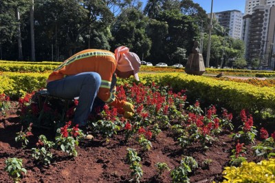 Goiânia remove ervas daninhas de 179 mil m² em 42 pontos da cidade nesta semana